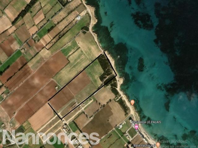 Terrain location