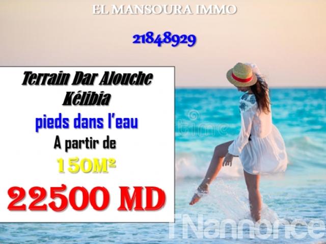Terrain vente