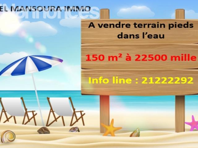 Terrain location