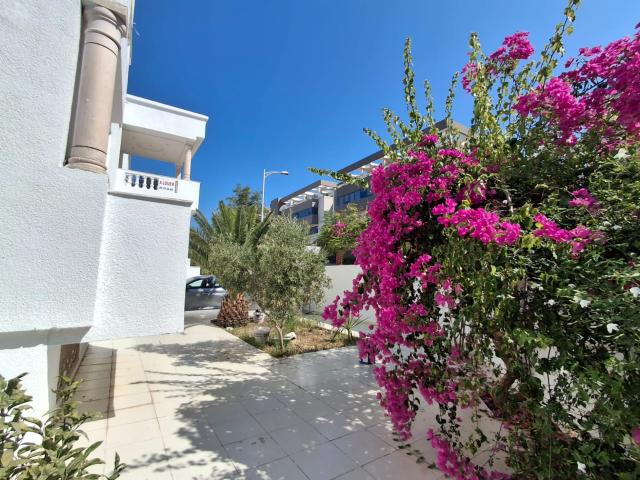 Maison location à Douz