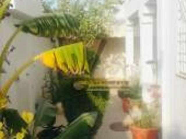 Maison location à Douz