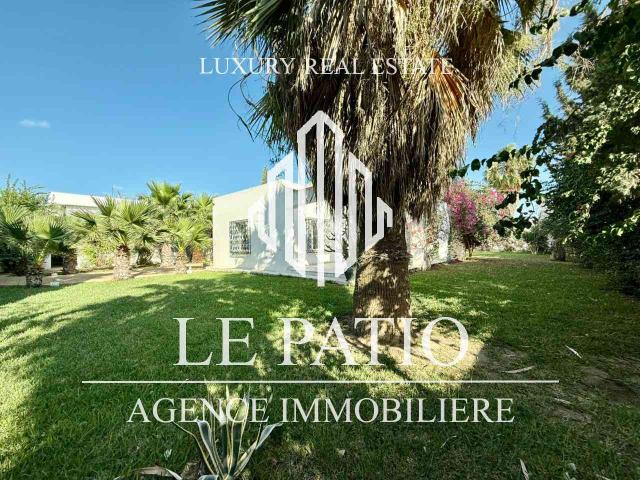 Maison location à Douz