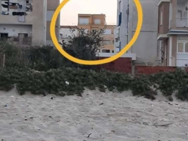 Appartement location à Hammam Sousse