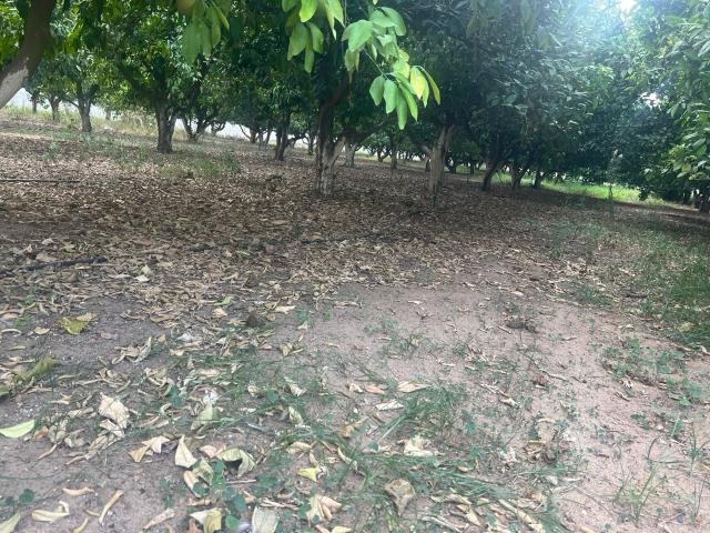 Maison location à El Menzah 9, Douz