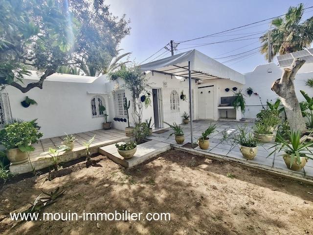 Maison location à Hammamet