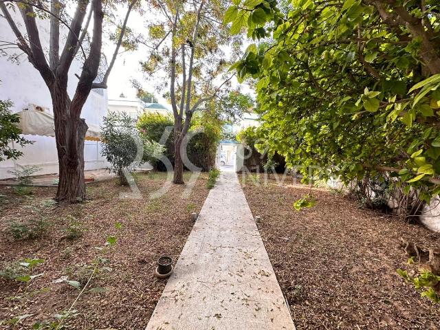 Appartement location à Ain Zaghouan, Douz