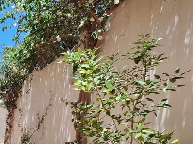 Maison vente à Akouda