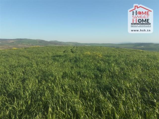 Terrain vente à Beja Nord