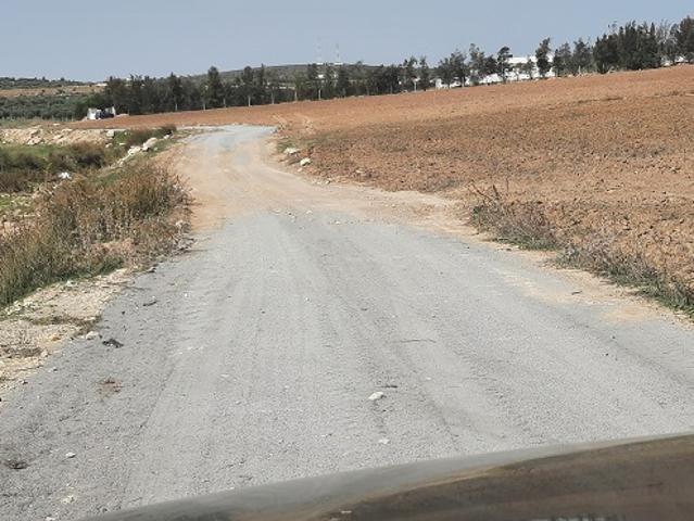 Terrain vente à Sidi Hassine, Douz