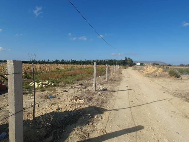 Terrain vente à Henchir El Haouaria, Nabeul