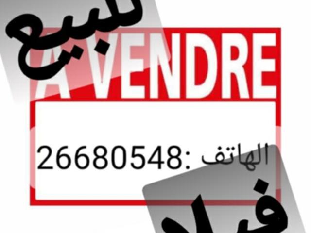 Duplex vente à Gabes, Gabes Medina