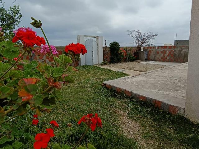 Appartement vente à Henchir El Haouaria