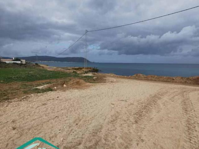 Terrain vente à Kelibia, Beni Khalled