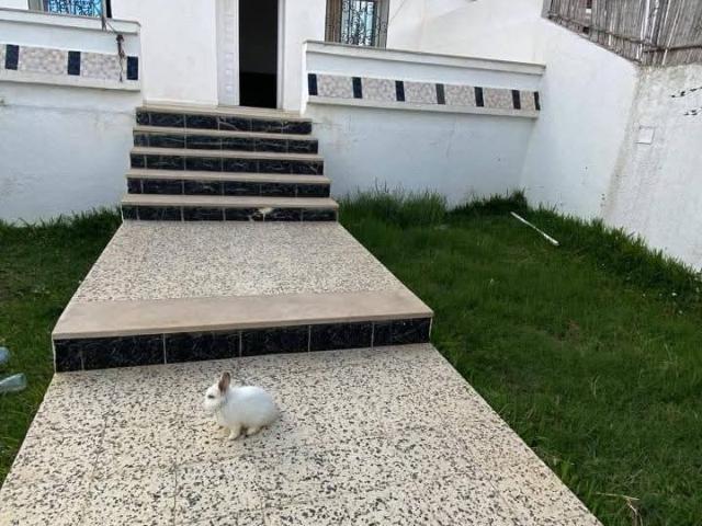 Maison vente à Henchir El Haouaria, Nabeul