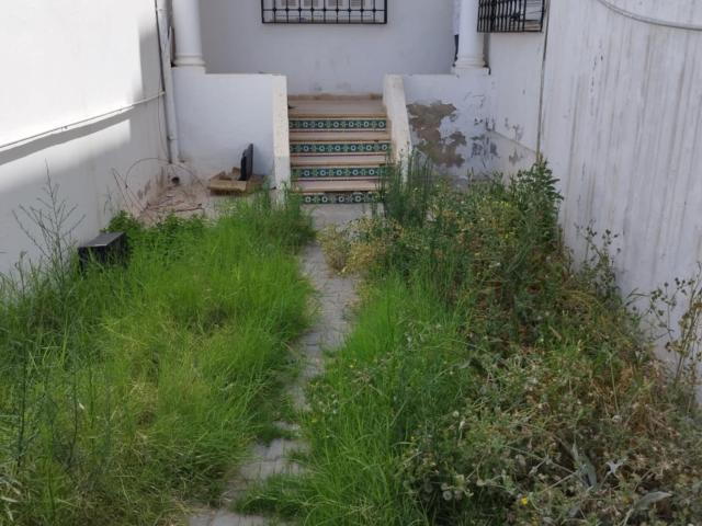 Appartement vente