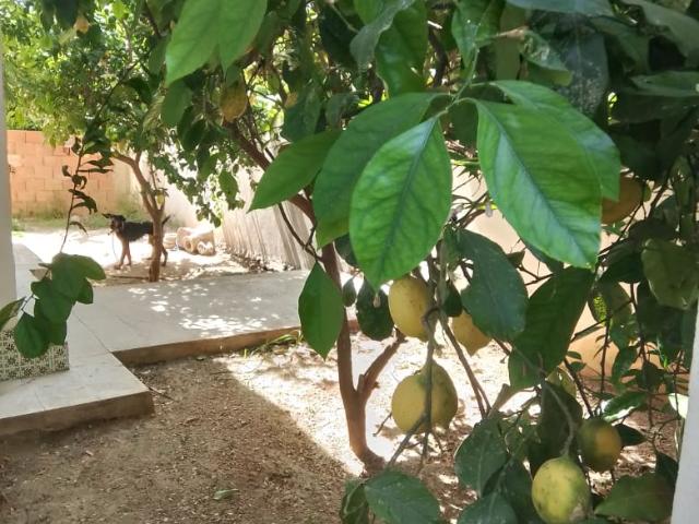 Maison vente à El Mourouj