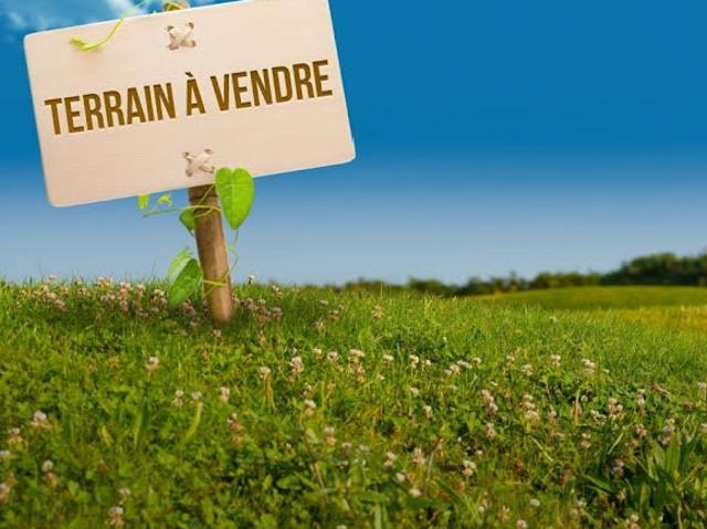 Terrain vente à Testour