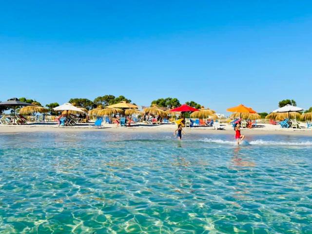 Appartement vente à Hammam El Ghezaz