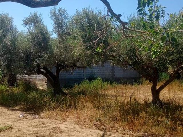 Maison vente à Hammam El Ghezaz, Beni Khalled
