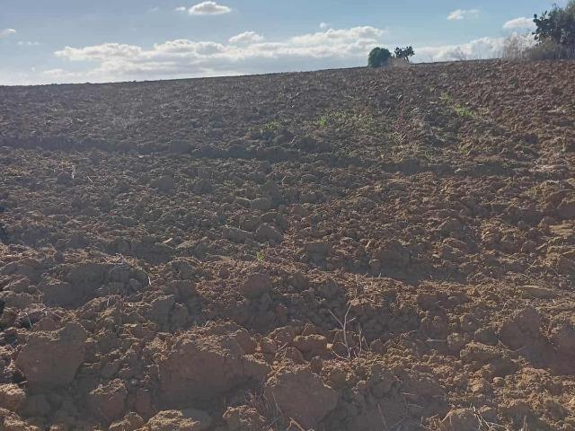 Maison vente à Kelibia