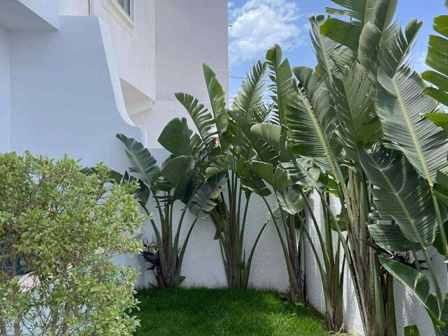 Maison vente à Kelibia