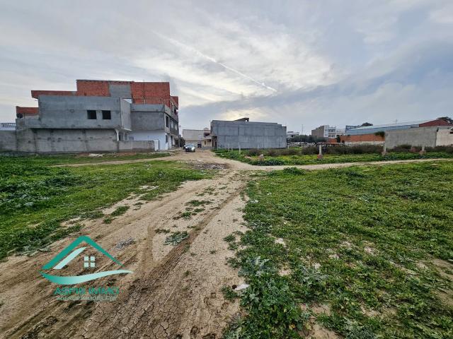 Terrain vente à Kelibia