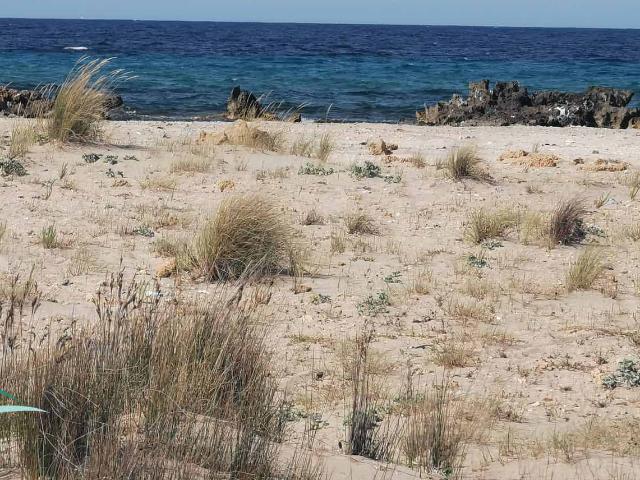 Terrain vente à Kelibia, Beni Khalled