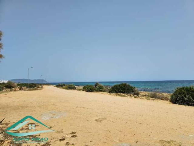Terrain vente à Kelibia, Beni Khalled