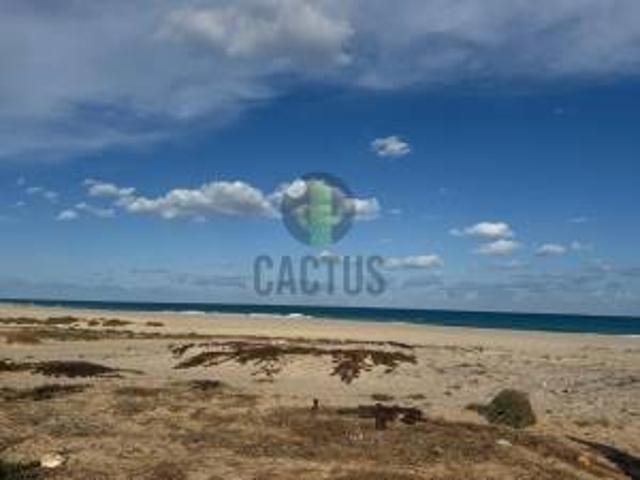 Terrain vente à Nabeul, Beni Khalled