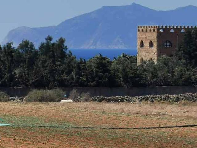 Terrain vente à Henchir El Haouaria, Nabeul