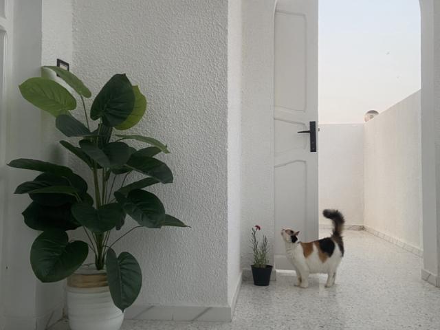 Maison vente à Sousse Riadh