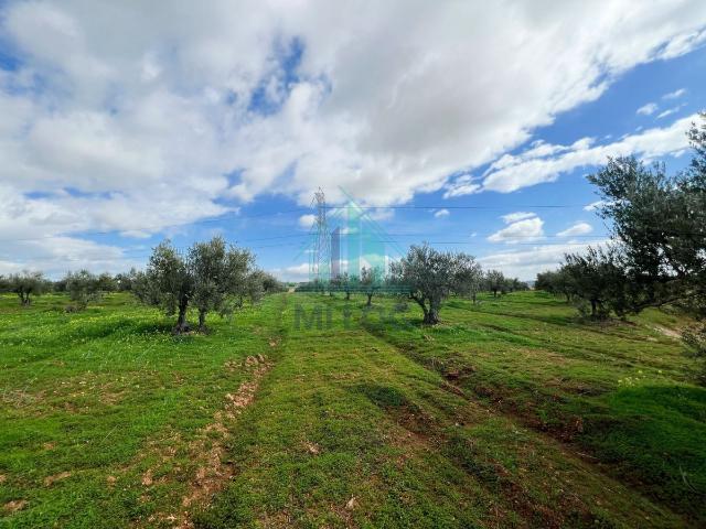 Maison vente à Erraja, Borj El Amri