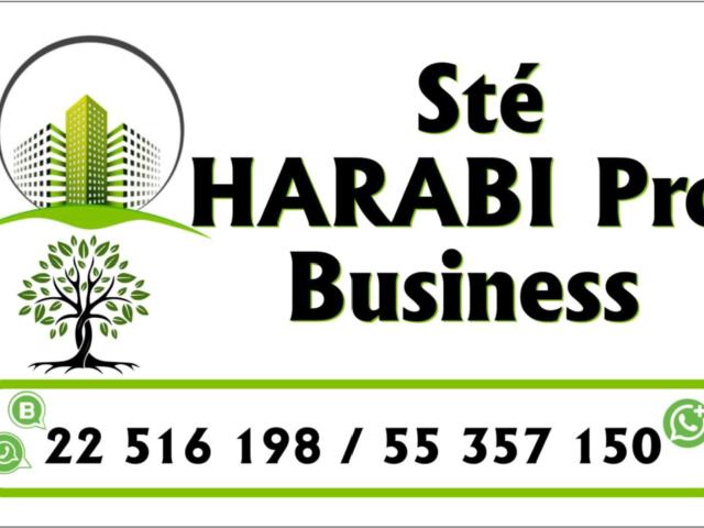 Duplex vente à Zaghouan, Bir Mcherga