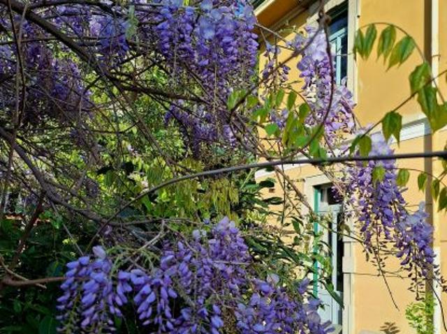 Stanza in affitto a Legnano, Milano