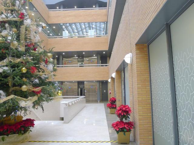 Oficina en alquiler en Distrito Norte, Sevilla