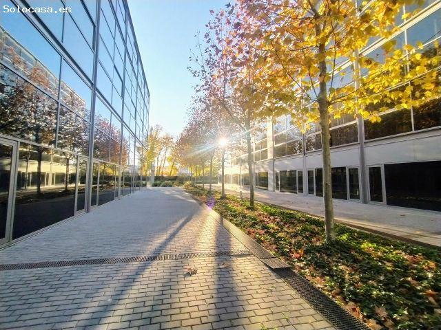 Local Comercial en alquiler en Distrito II, Alcalá De Henares