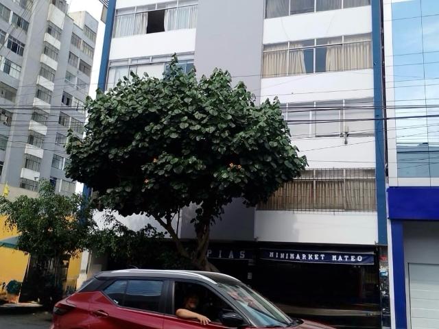 Oficina venta en Achaguay Alto, Lima Metropolitana