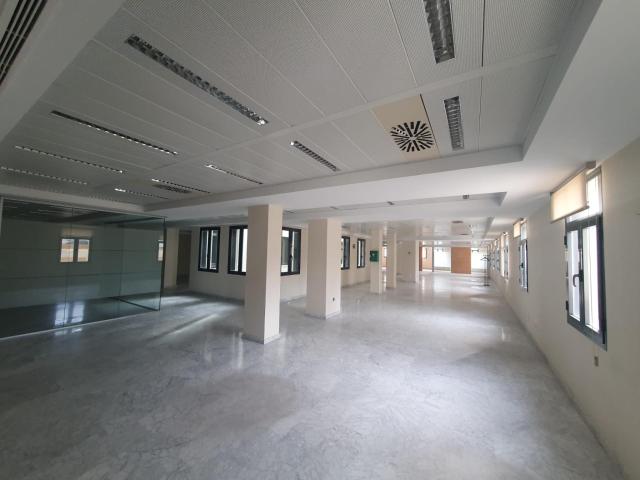 Oficina en alquiler en Casco Antiguo, Sevilla
