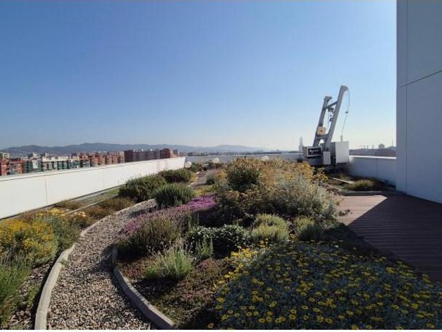 Oficina en alquiler en Barcelona, Provençals del Poblenou