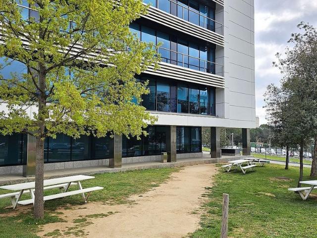 Oficina en alquiler en Sant Cugat Del Vallès, Barcelona