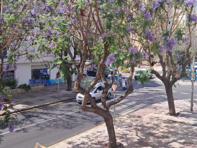 Oficina en alquiler en Estepona, Barriada Islas Canarias