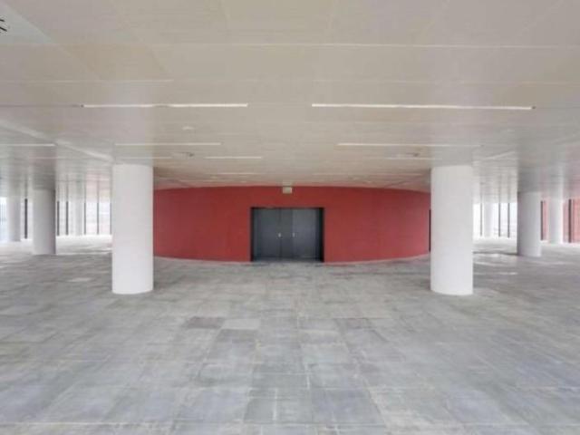 Oficina en alquiler en L'hospitalet De Llobregat, Santa Eulàlia