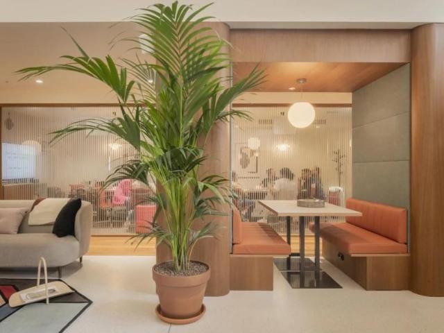 Oficina en alquiler en Salamanca, Medina-sidonia