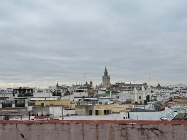 Local Comercial en alquiler en Casco Antiguo, Sevilla