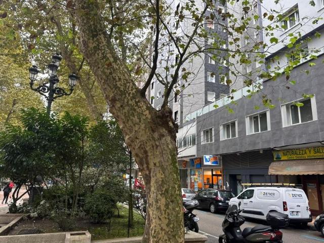 Oficina en alquiler en Perines, Santander