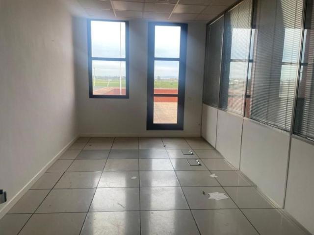Oficina en alquiler en Sevilla, Sevilla Este