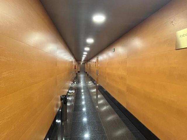 Oficina en alquiler en Sevilla, Giralda Sur