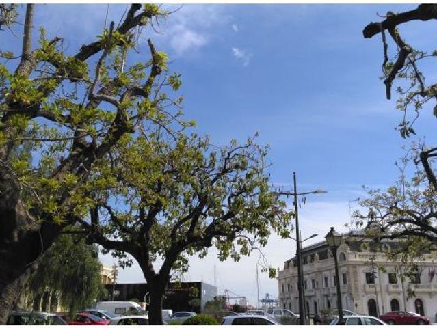 Local Comercial en alquiler en Valencia De Las Torres, Extremadura