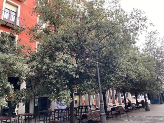 Oficina en alquiler en Plaza Mayor, Valladolid