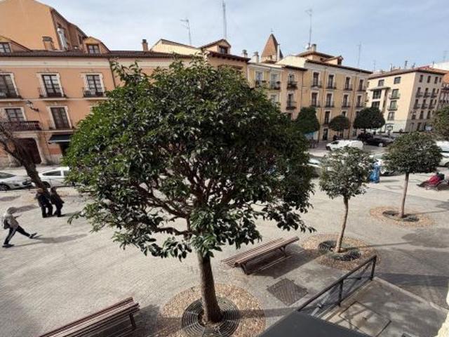 Local Comercial en alquiler en San Martín, Valladolid